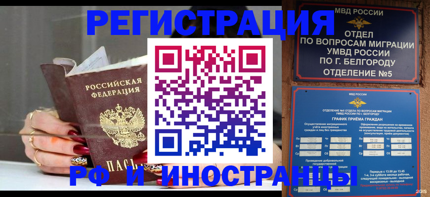 прописка в Котельниче
